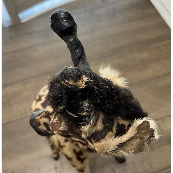 Victorian Antique Miniature Giraffe Victorian Toys Handmade Fur Taxidermy - Picture 11 of 13